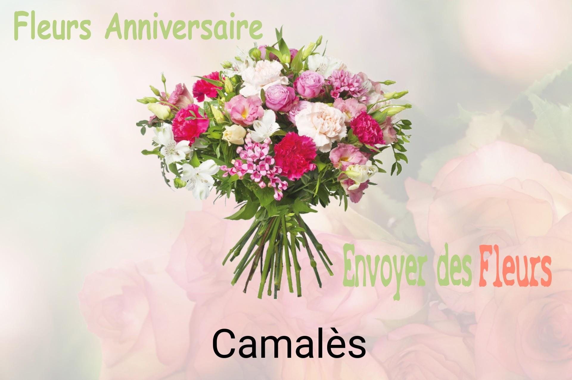 Bouquet de fleurs d’anniversaire livré à Camalès