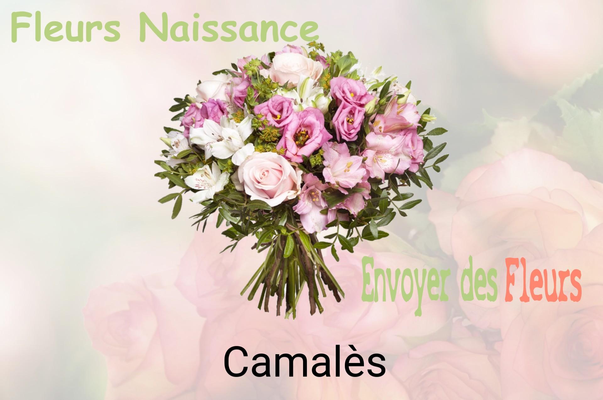 Bouquet de fleurs de naissance livré à Camalès