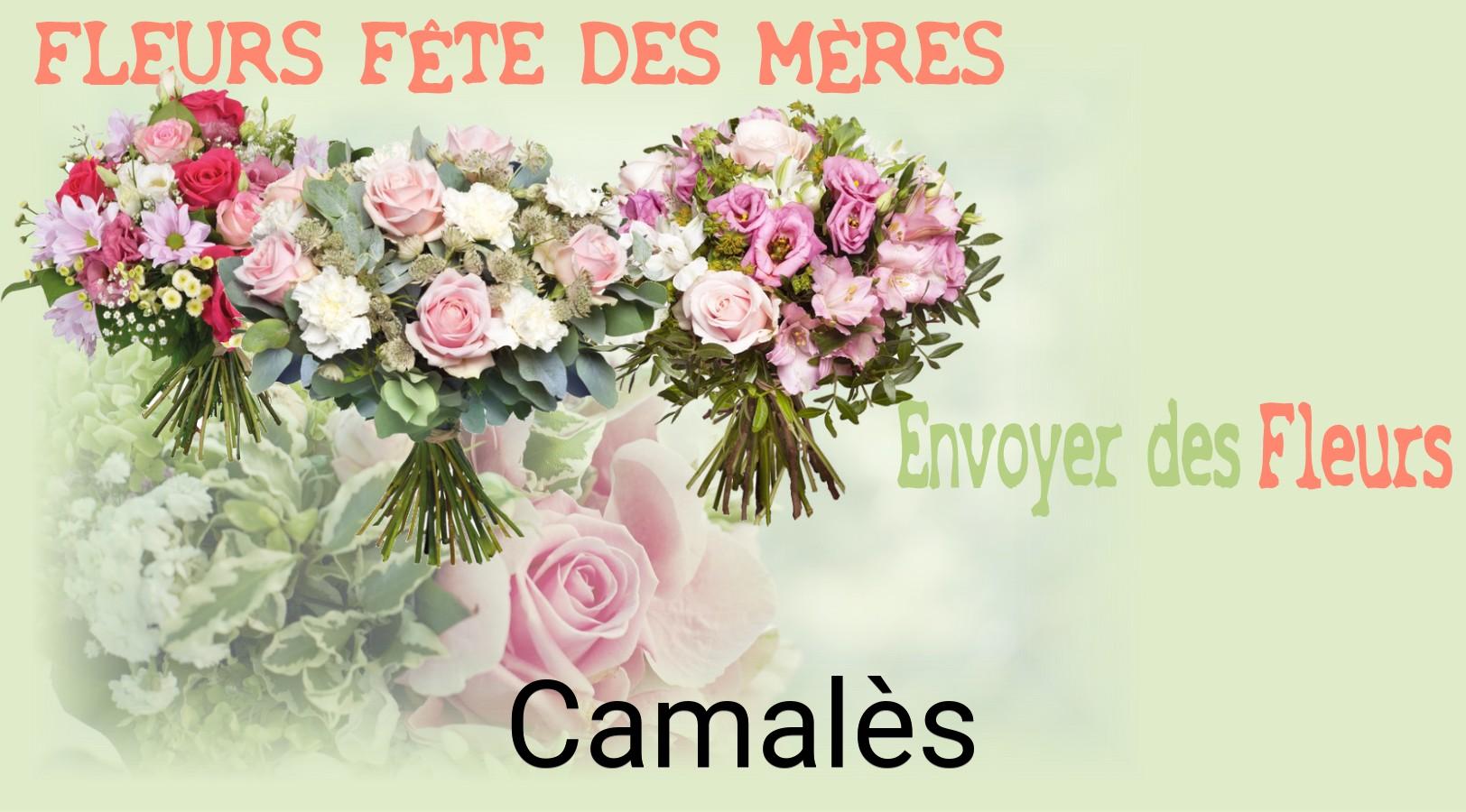 Bouquet de Fête des Mères livré à Camalès