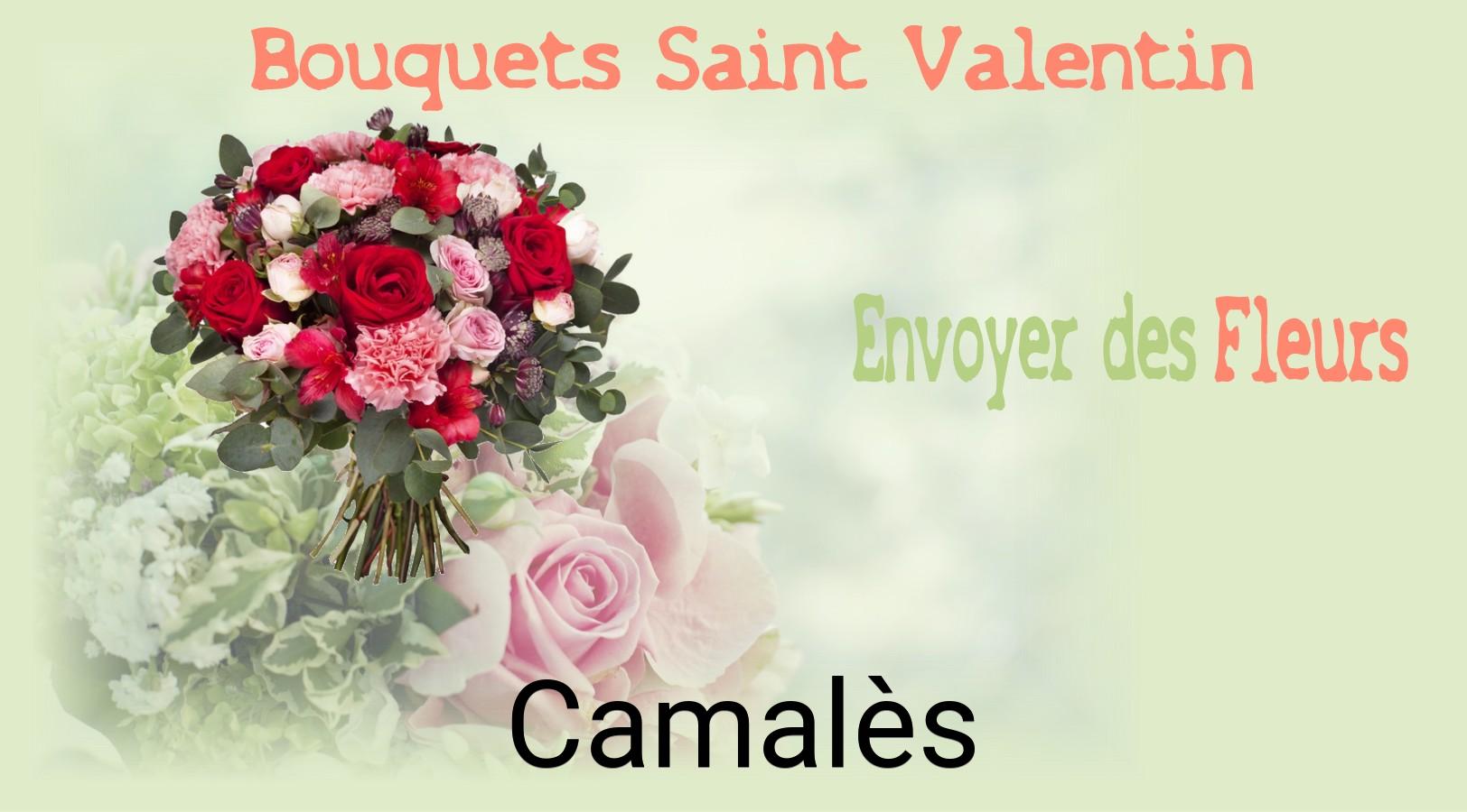 Roses de Saint-Valentin livrées à Camalès